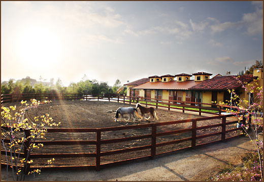 Skyridge - Barn and Stables